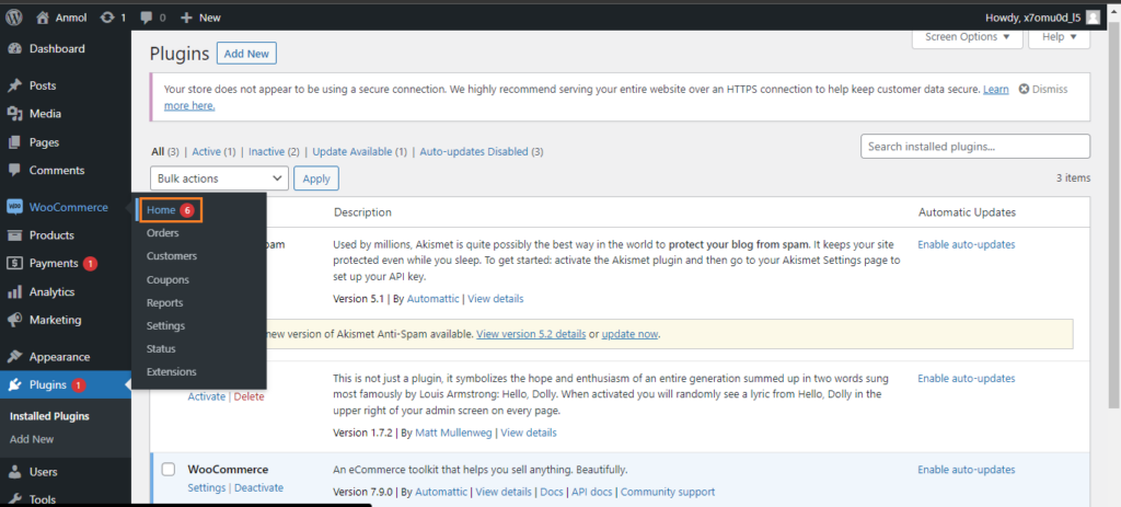 woocommerce guide