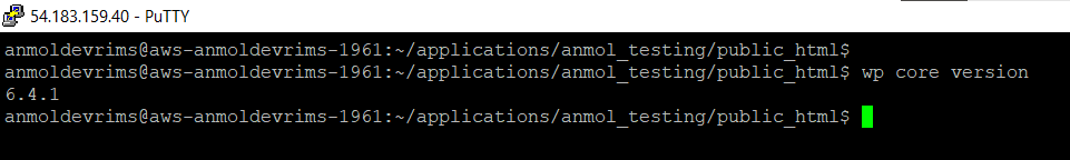 wp-cli