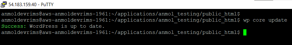 wp-cli