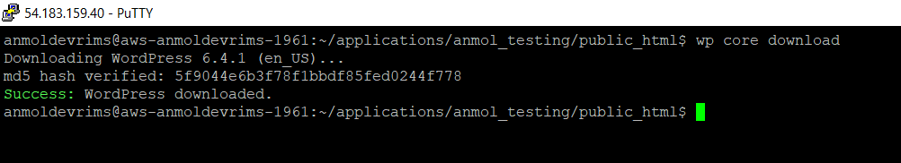 wp-cli