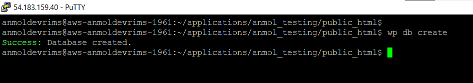 wp-cli